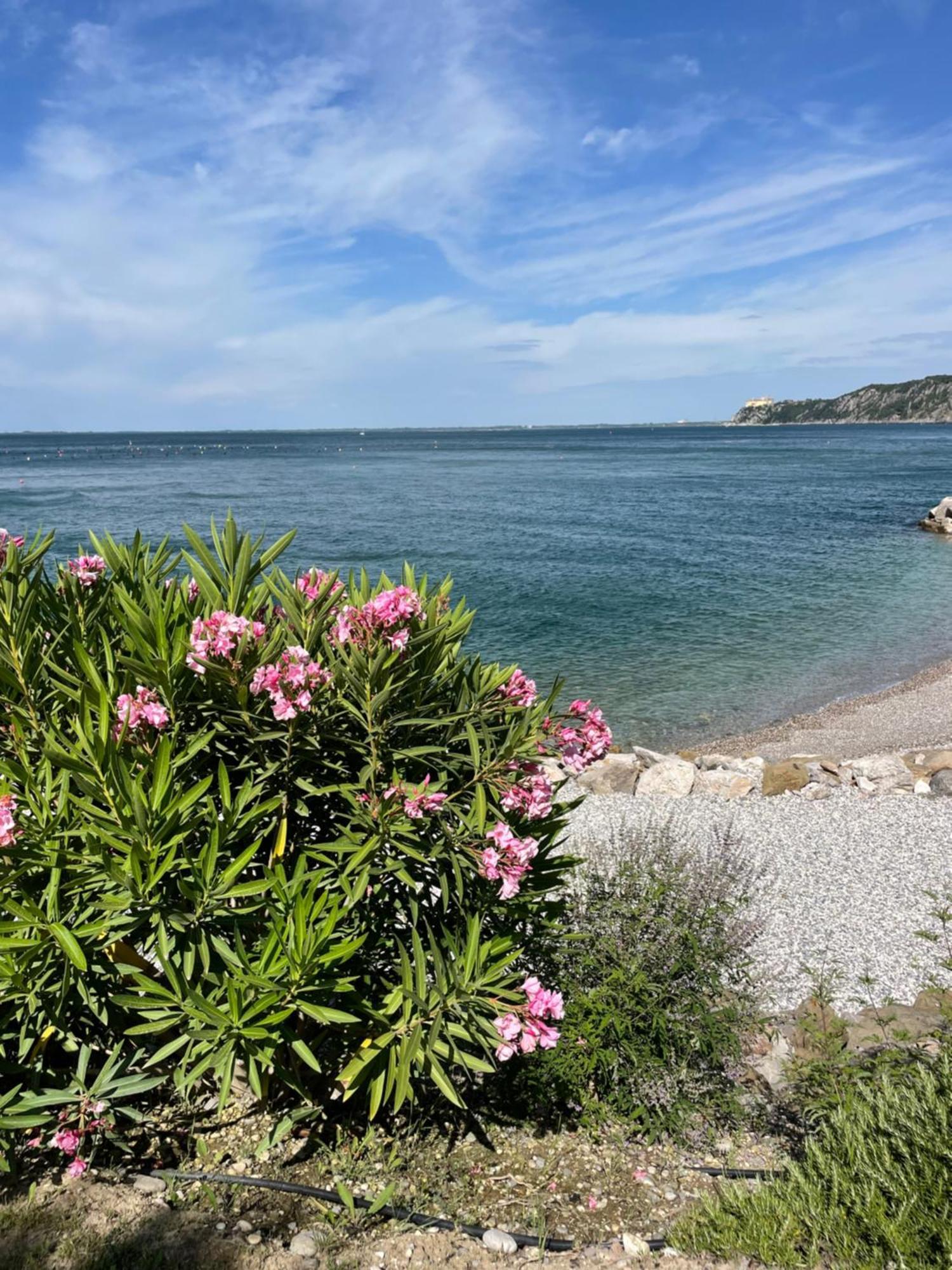 Portopiccolo Sul Mare - Sistiana Apartment Exterior photo